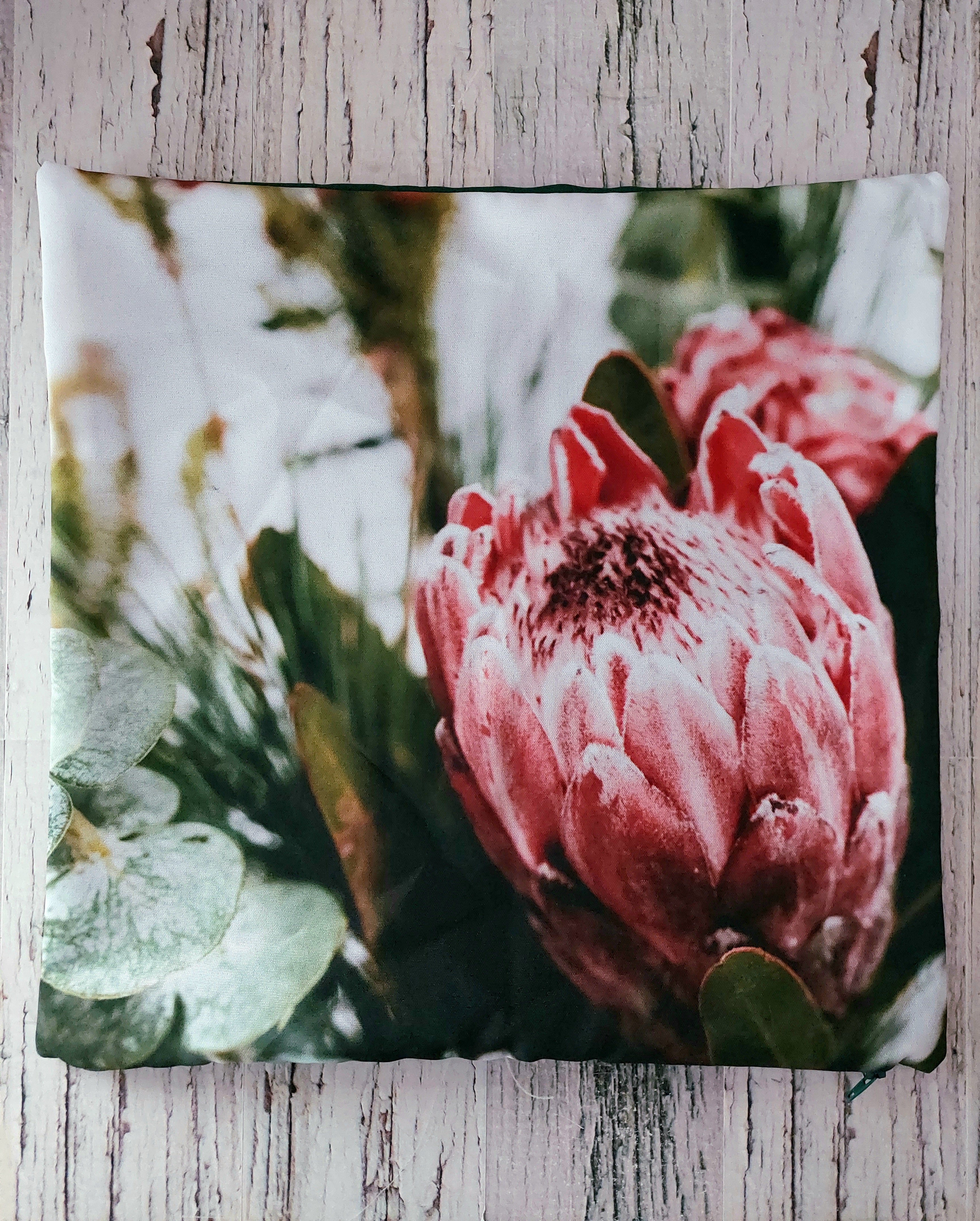 Protea cushion cheap covers